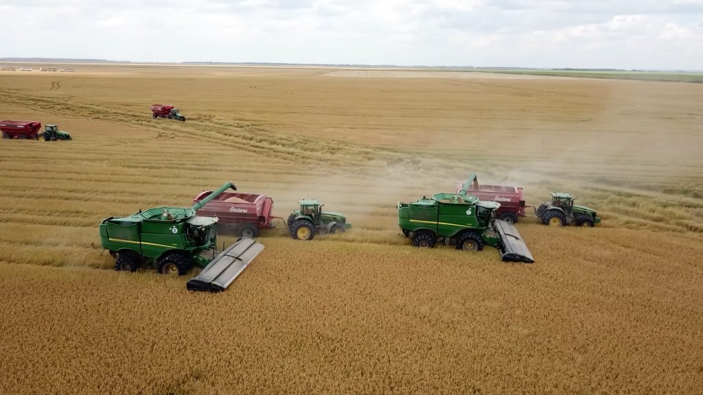 Del premio Ternium al boom internacional: la revolución del cabezal desgranador argentino
