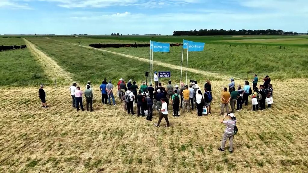 Inta Barrow : 102 años haciendo genetica de trigo