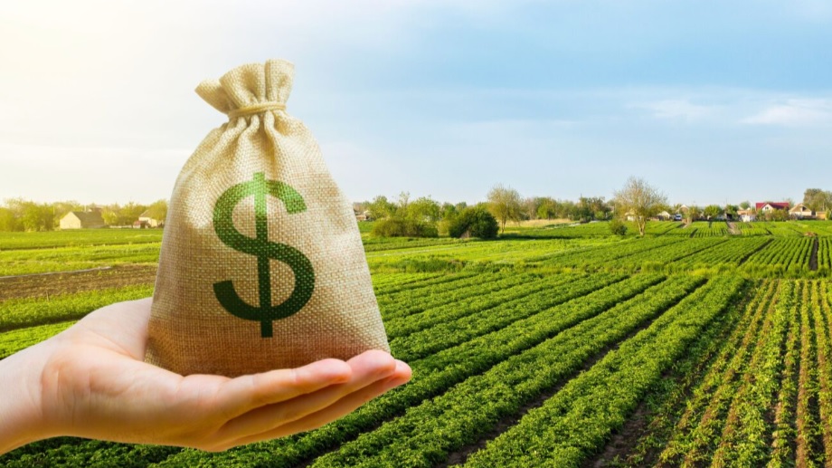 El agro no frena: la actividad alcanza un nuevo récord y consolida cuatro meses en máximos históricos