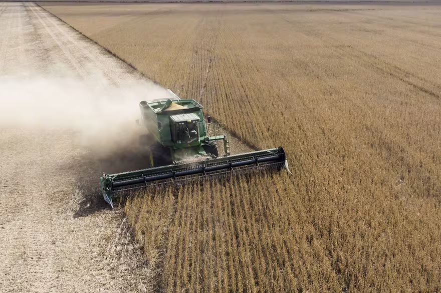 Suba del gasoil impacta en la cosecha: contratistas y transportistas ajustan tarifas