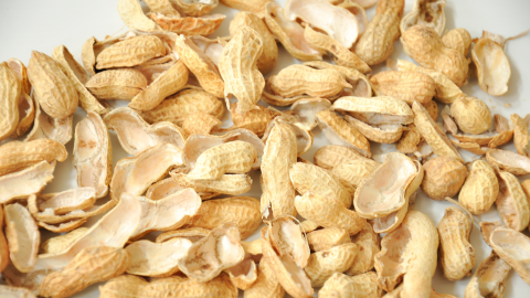 Del residuo al recurso: convierten cáscaras de maní en baterías más rápidas y sostenibles