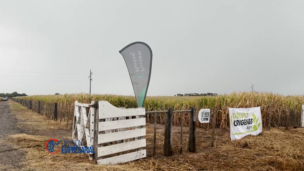 Jornada a campo con ensayos de maíz y soja y aplicación de nuevas tecnologías