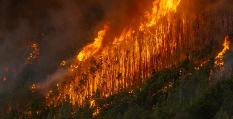 Reforma sobre tierras incendiadas: el debate que expone el delicado equilibrio entre desarrollo y ambiente en Argentina