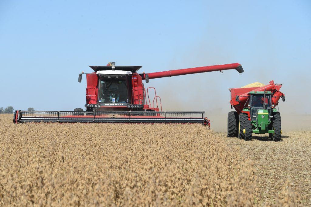 Actividad agropecuaria crece en febrero, marca récord histórico y sube 15,8% interanual