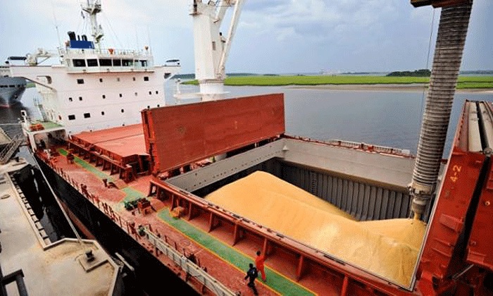 Récord de embarques de maíz y precios firmes en Argentina en plena cosecha