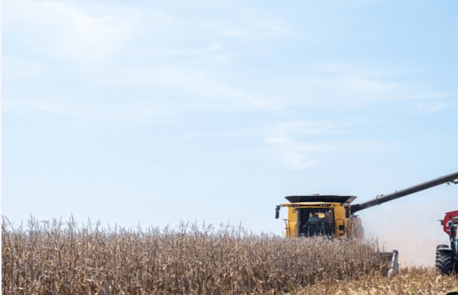 Boom en Entre Ríos: el maíz de primera se dispara 85% y marca una fuerte recuperación